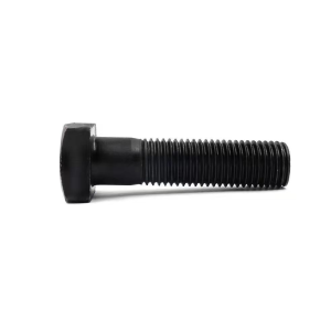 China Supply High Quality T Bolt