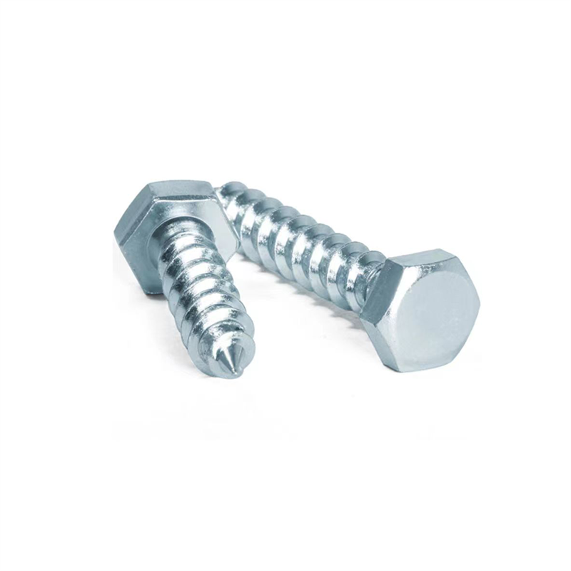 Din571 Galvanized Hex Head Wood Screws